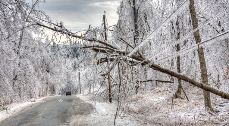 Ice Storm