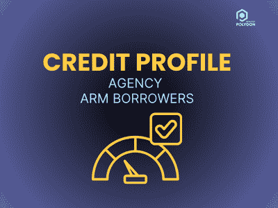 credit profile of ARM borrowers with polygon research logo in top right corner.