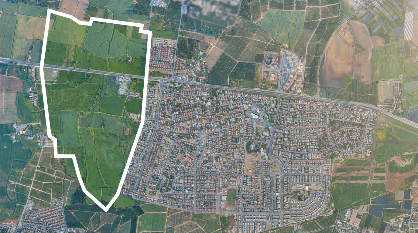 תיאור התמונה