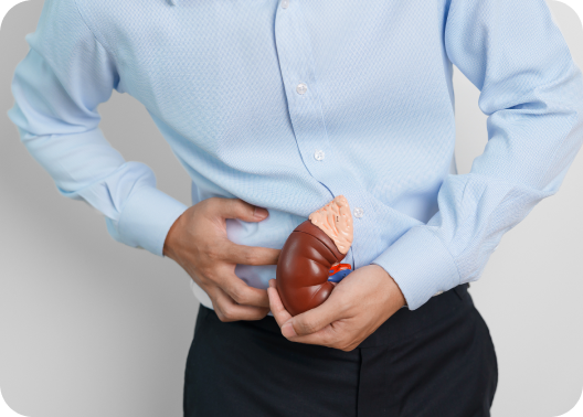 especialista en insuficiencia renal