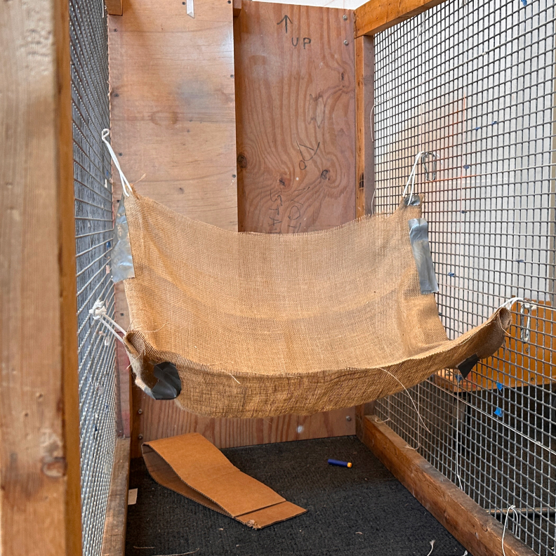 Burlap sling prototype