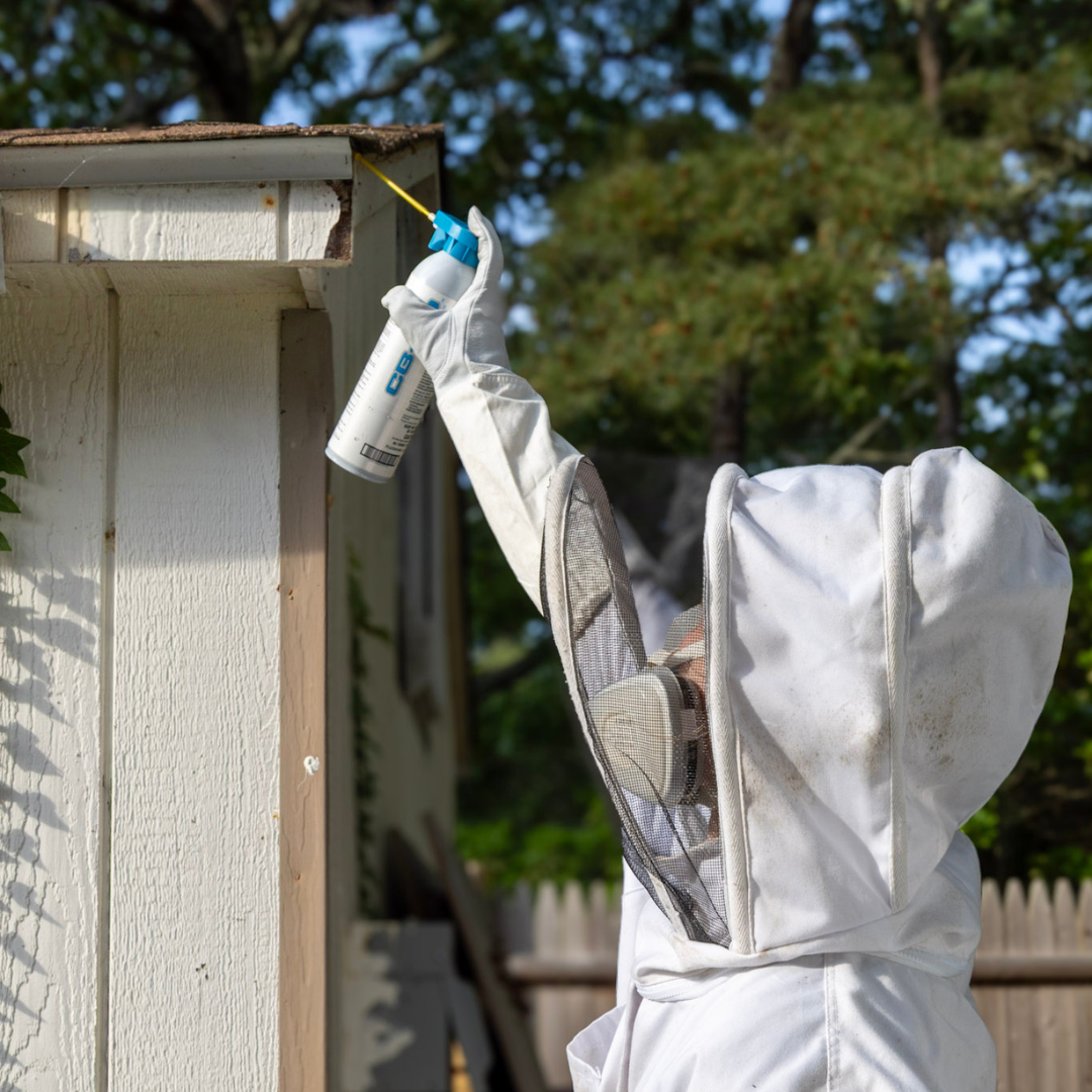 Stinging Insect Control Tech