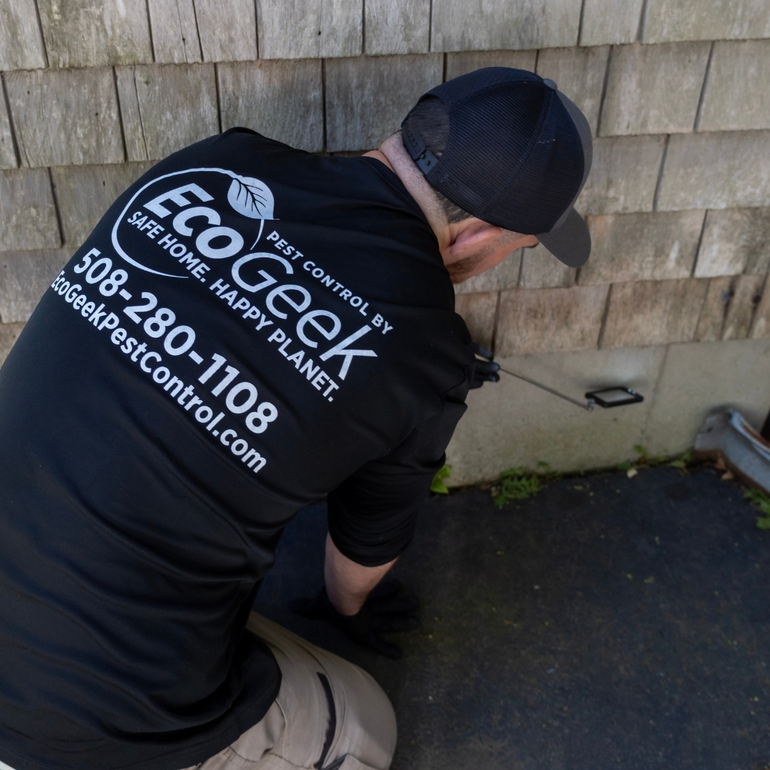 Rodent Control Tech