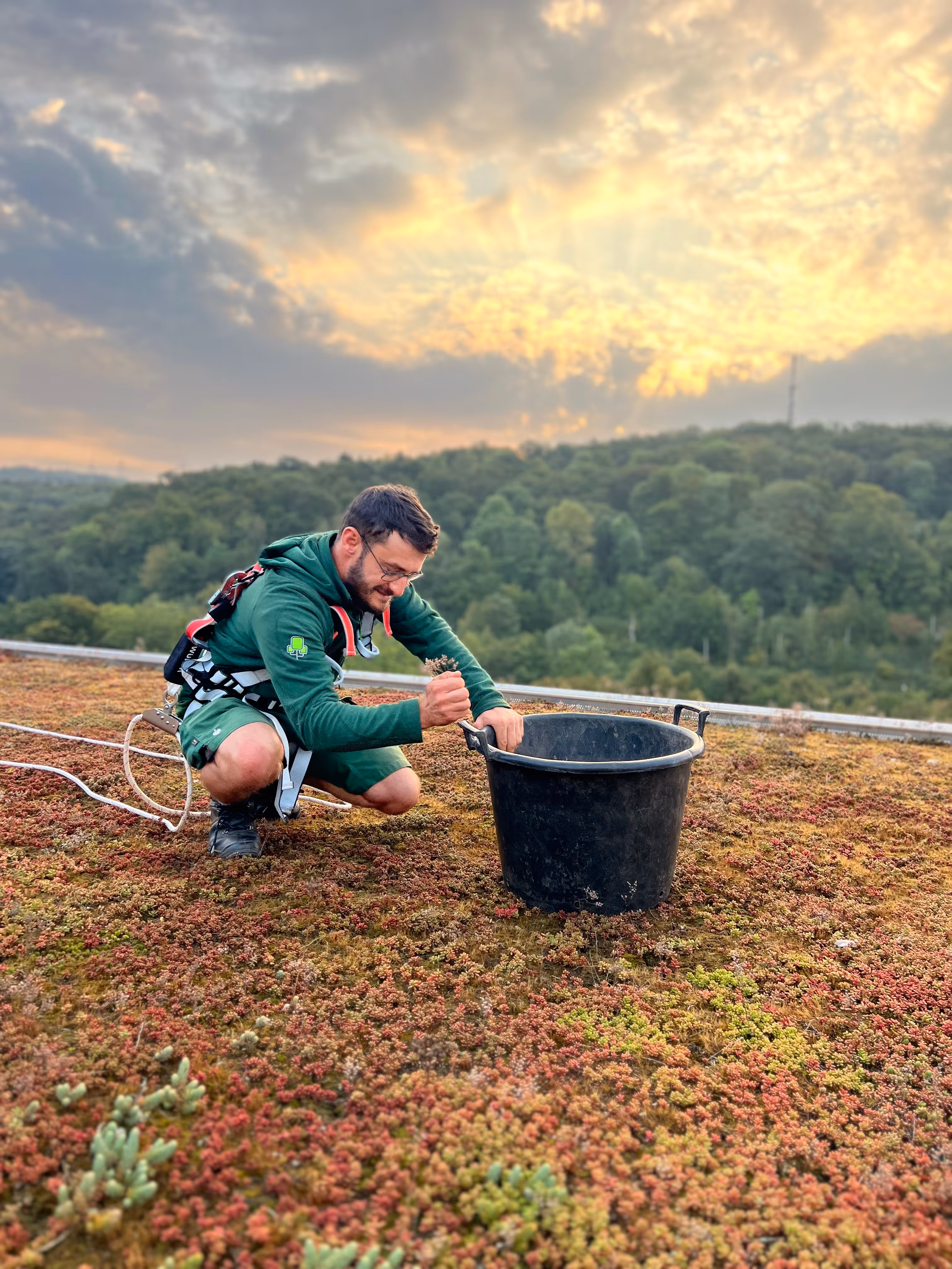 Gründachpflege in Herdecke, Witten und Umgebung.