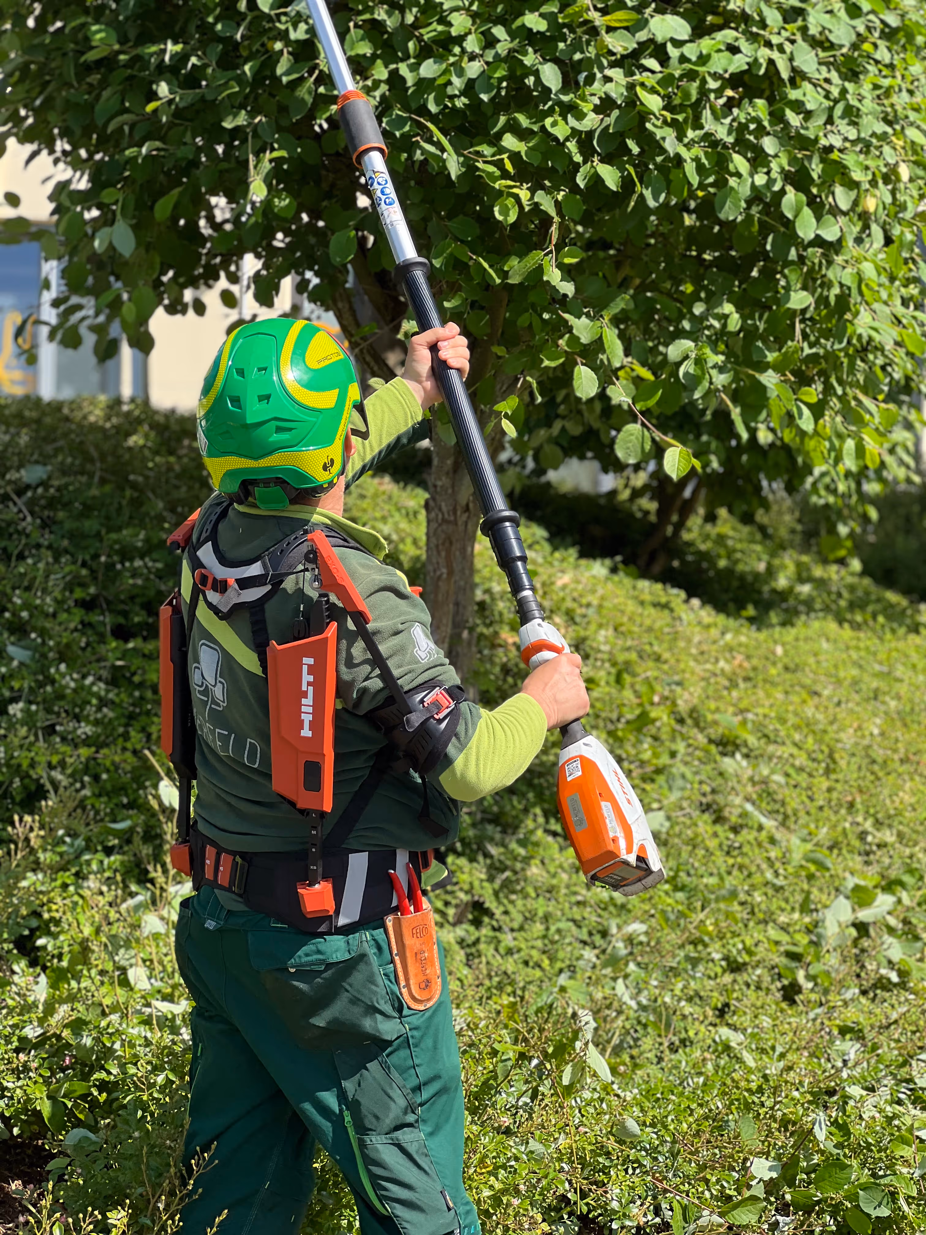 Baumschnitt in Herdecke, Witten und Umgebung