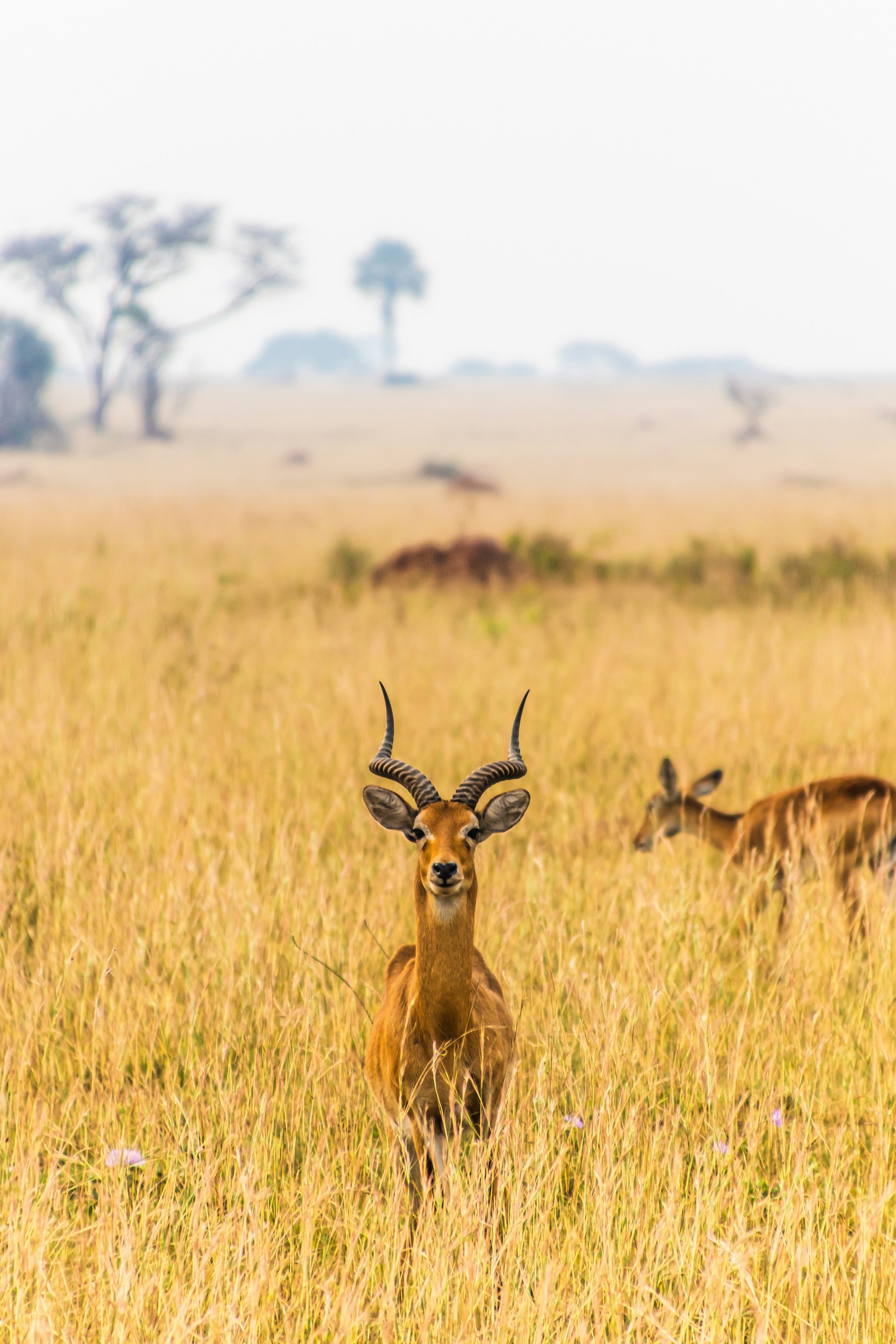 Photo courtesy of Andrew S on Unsplash