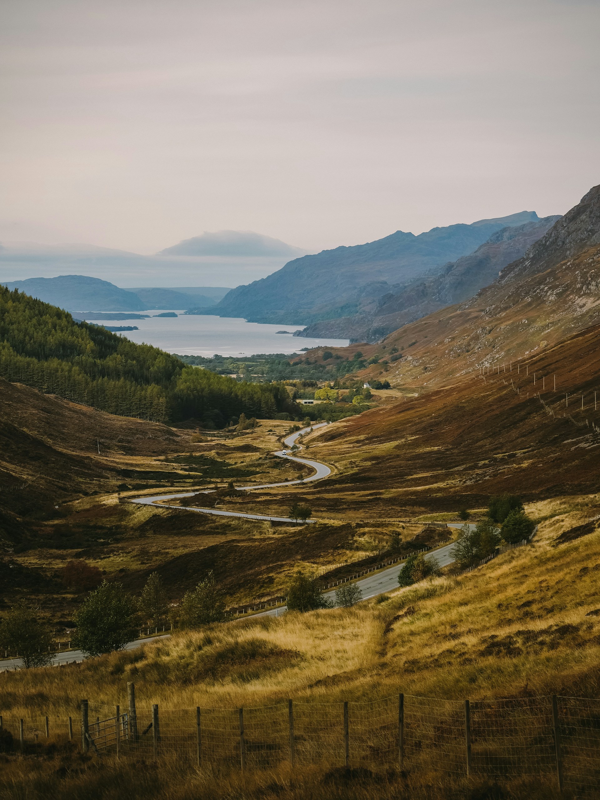 Photo by Paulina Herpel on Unsplash