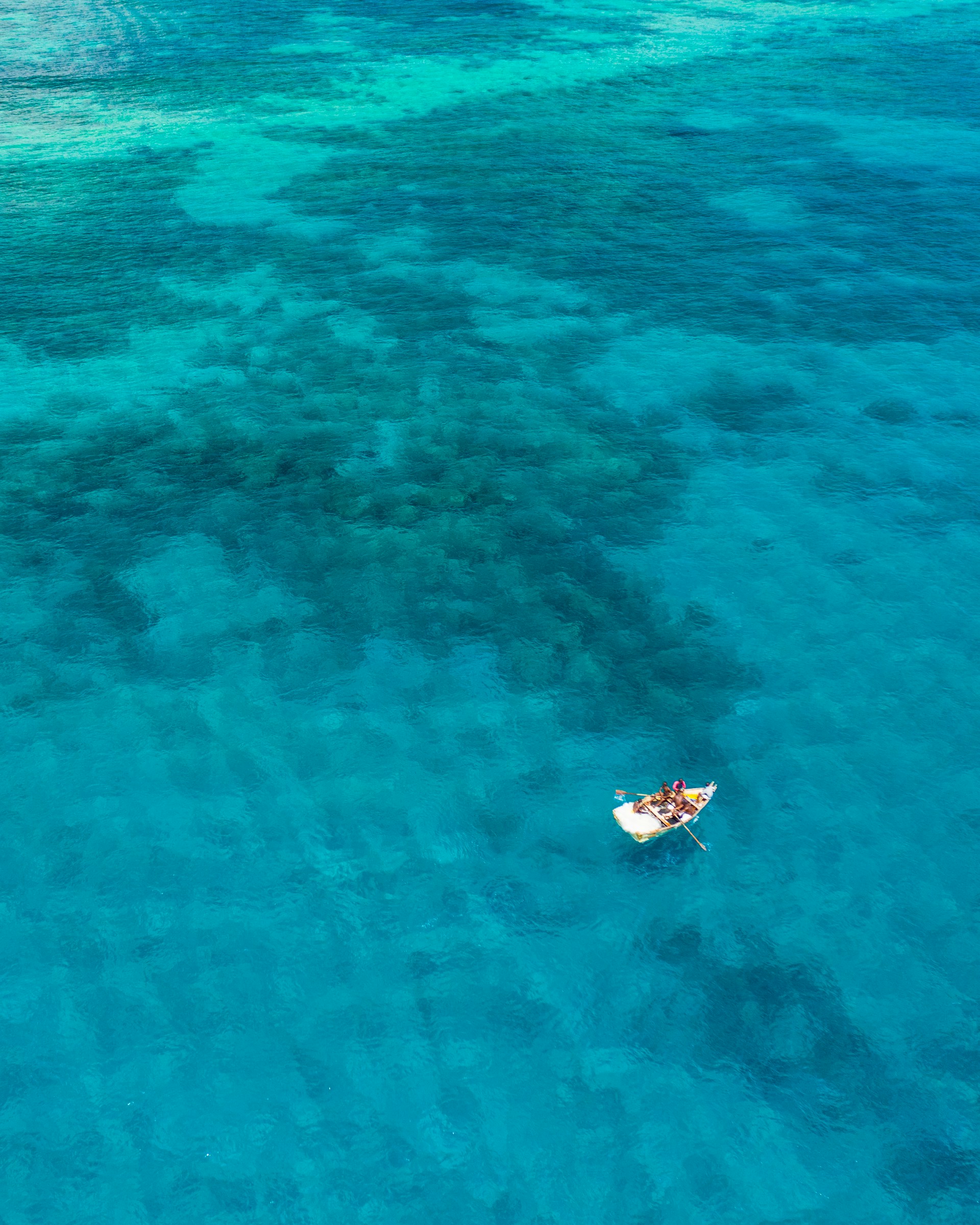Photo by Sebastian Staines on Unsplash