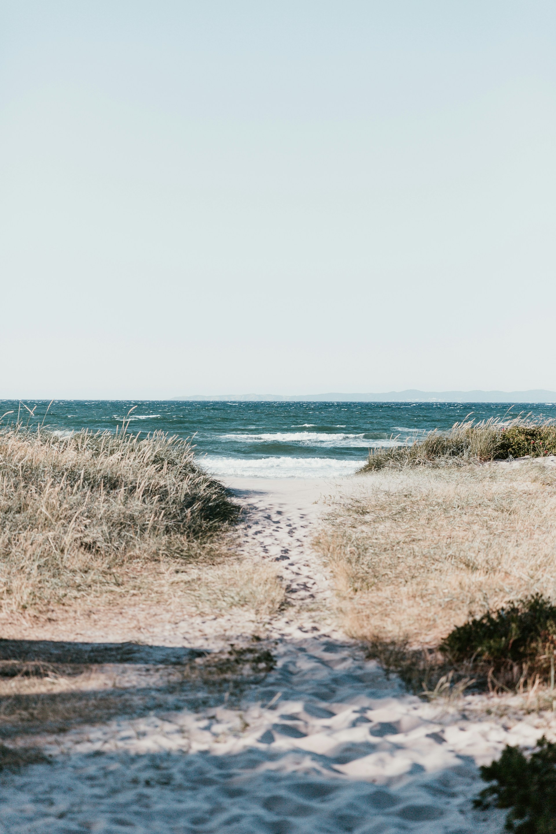 Photo by Marten Bjork on Unsplash