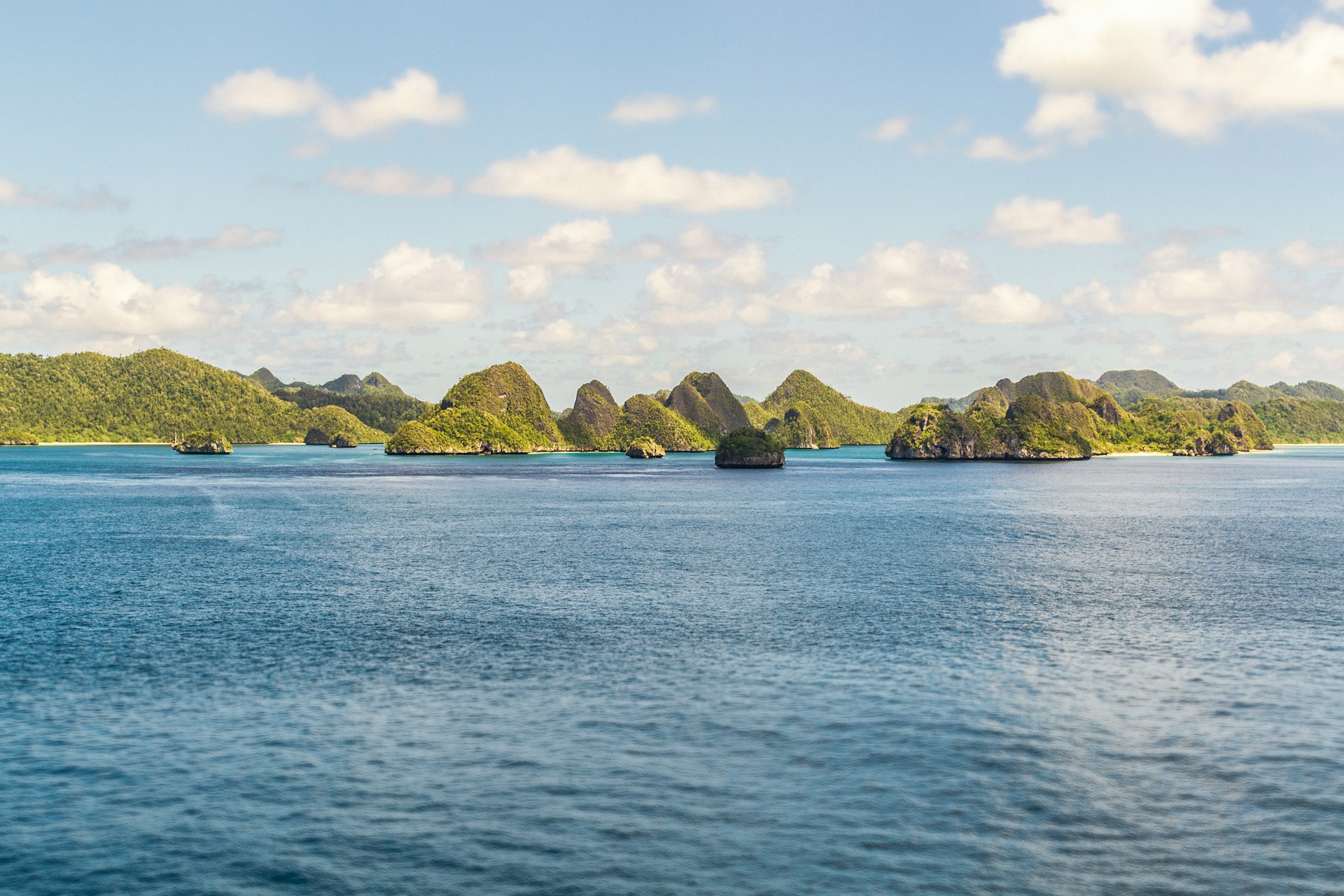 Photo by Hector John Periquin on Unsplash