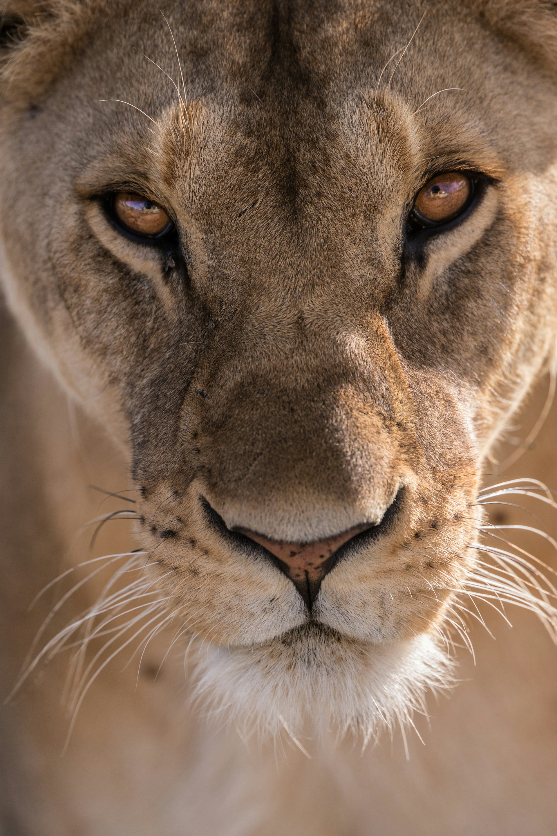 Photo by Jean Wimmerlin on Unsplash