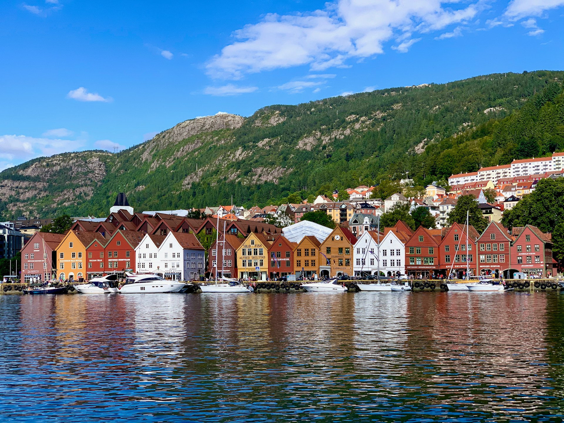 Photo by Agent J on Unsplash