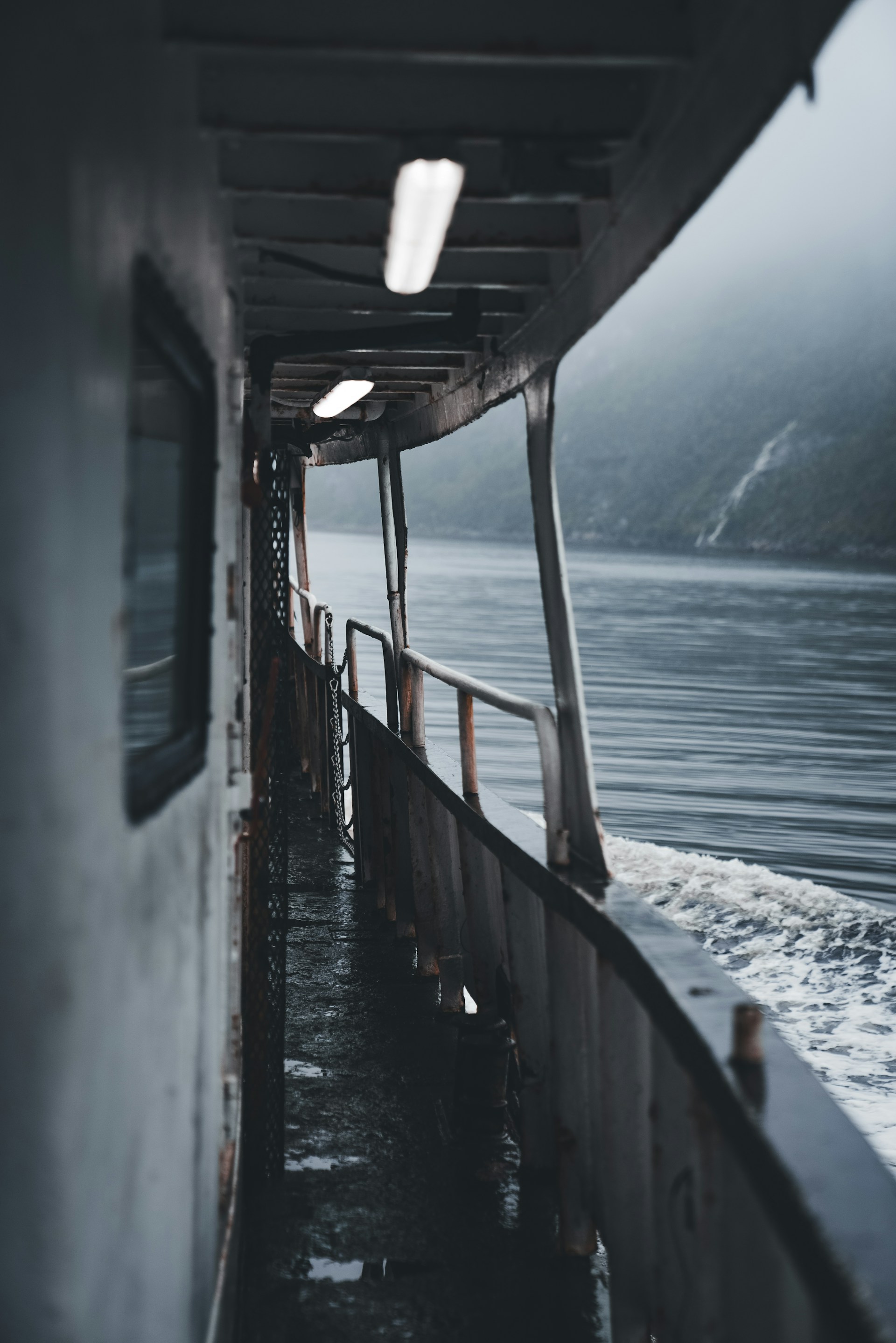 Photo by Erik Mclean on Unsplash