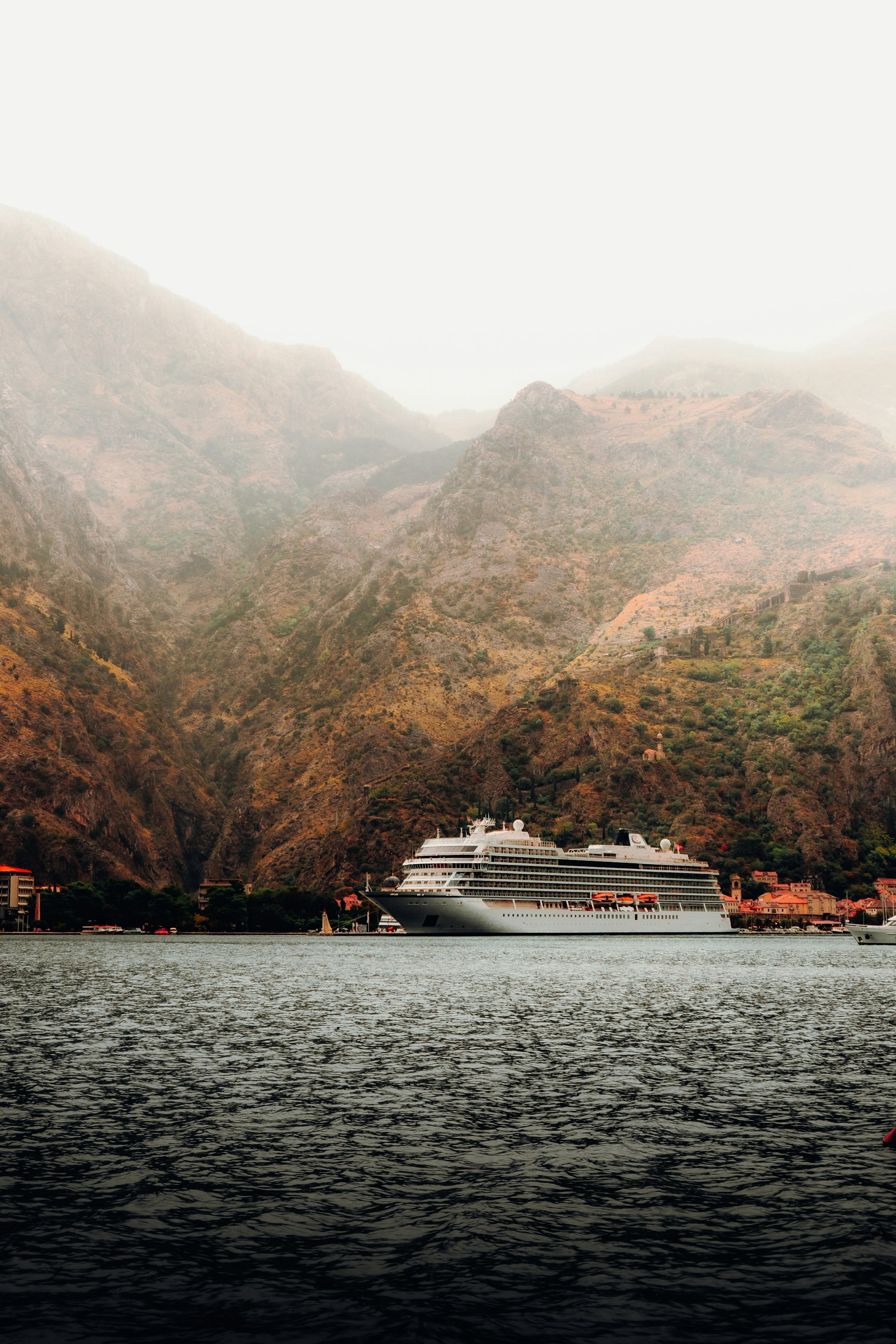Photo by Daniel J. Schwarz on Unsplash