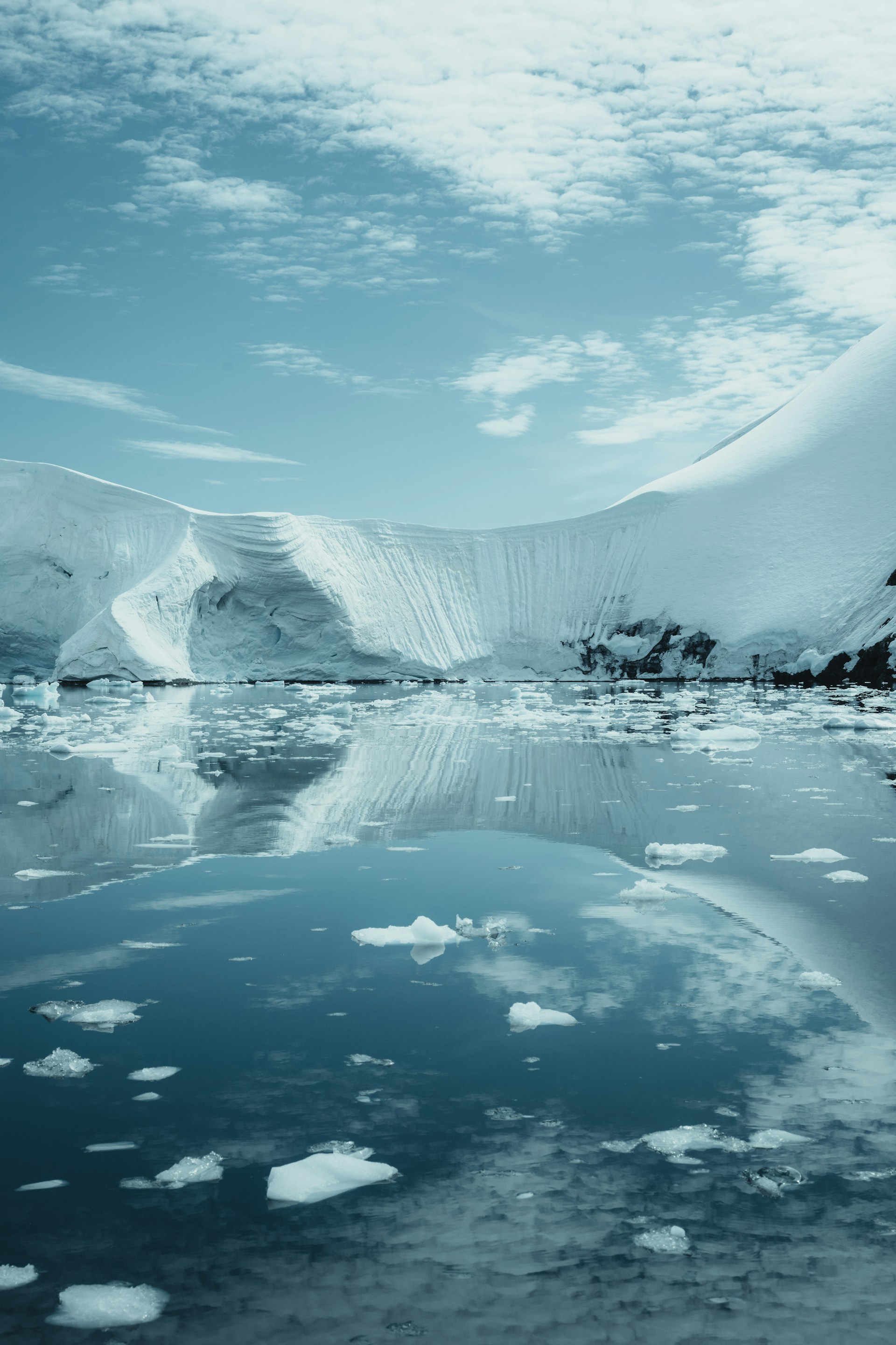 Photo by Ruben Zimmermann on Unsplash