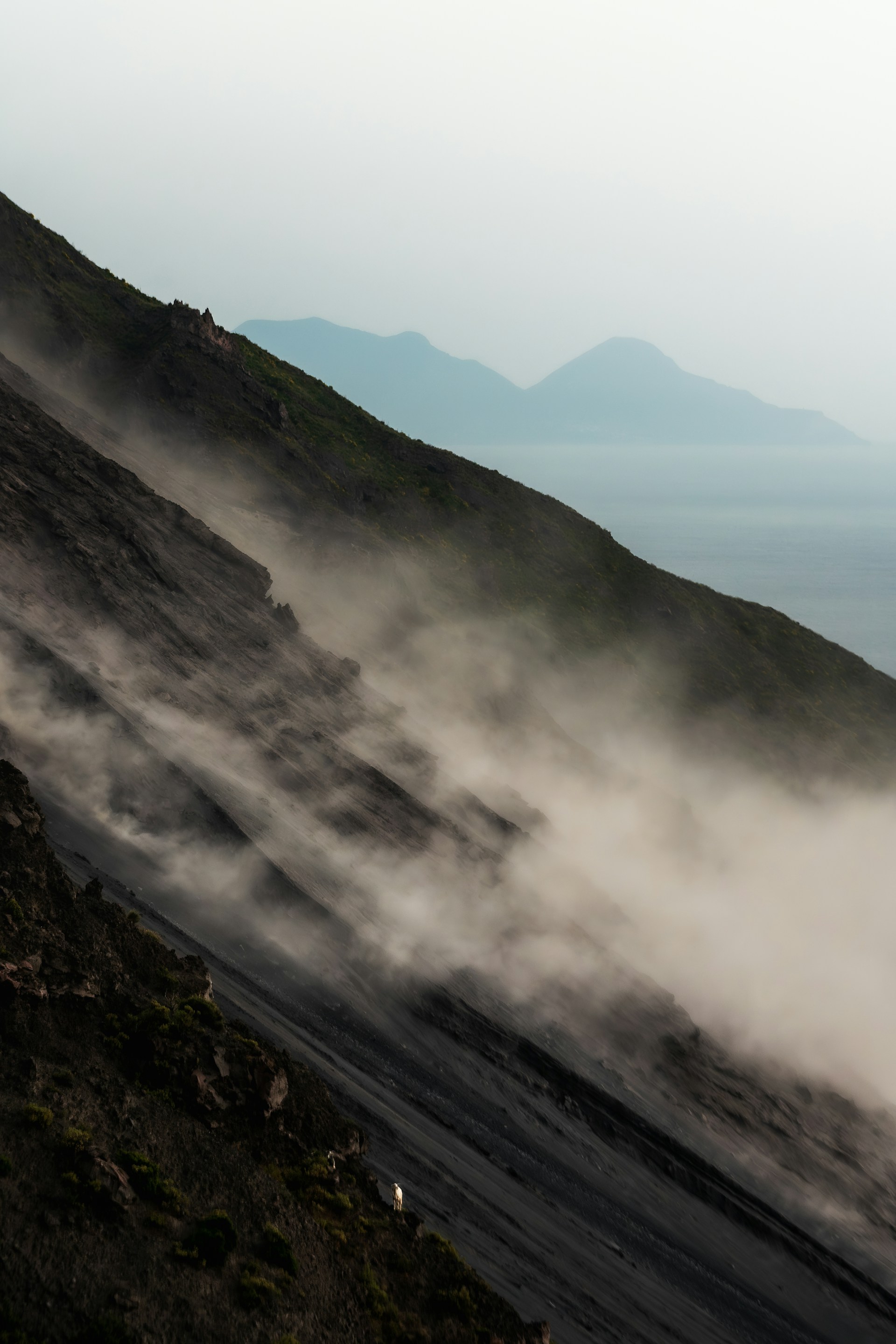 Photo by Reegan Fraser on Unsplash