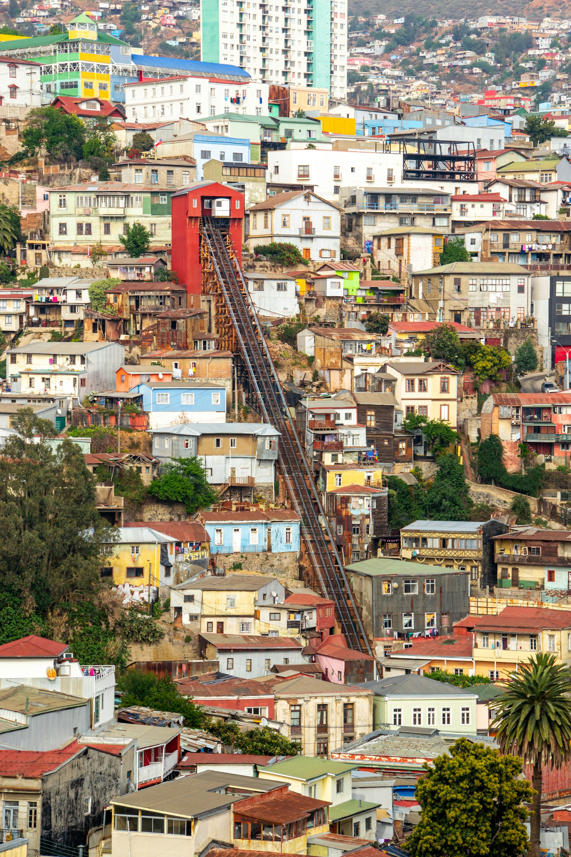 Photo by David Vives on Unsplash