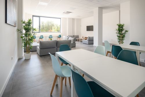 Small single room with shared bathroom (Plaza Femenina)