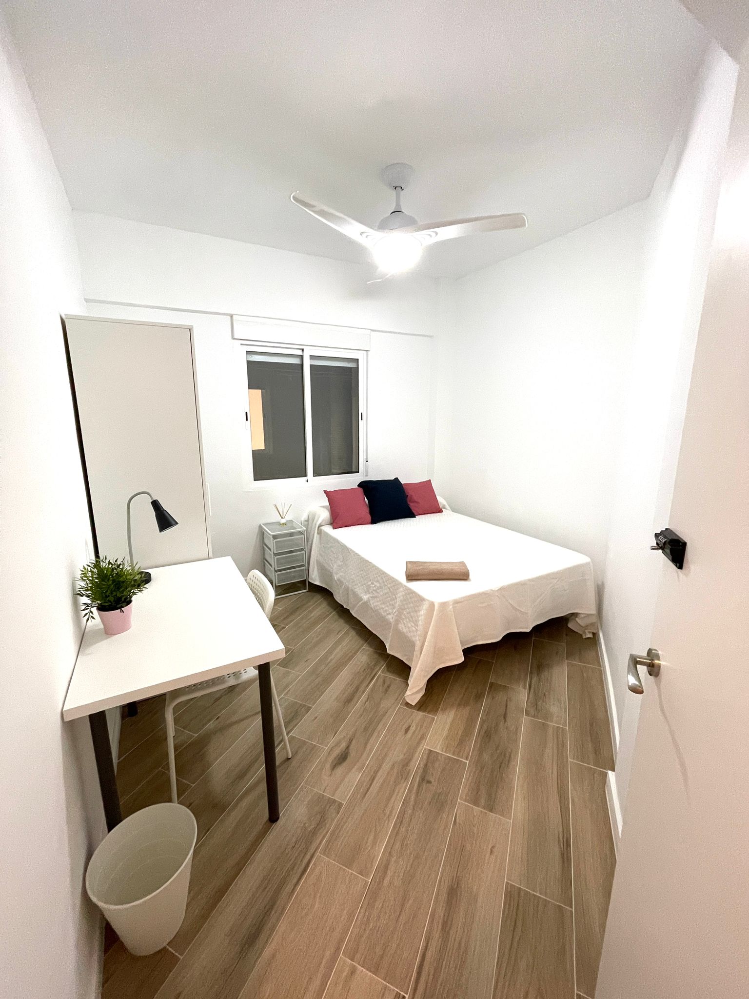 Floridablanca H1 / Single room in shared apartment