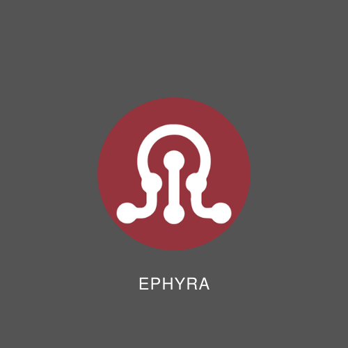 notch porfolio sui scallop