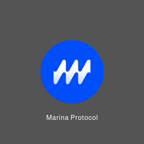 notch porfolio sui scallop