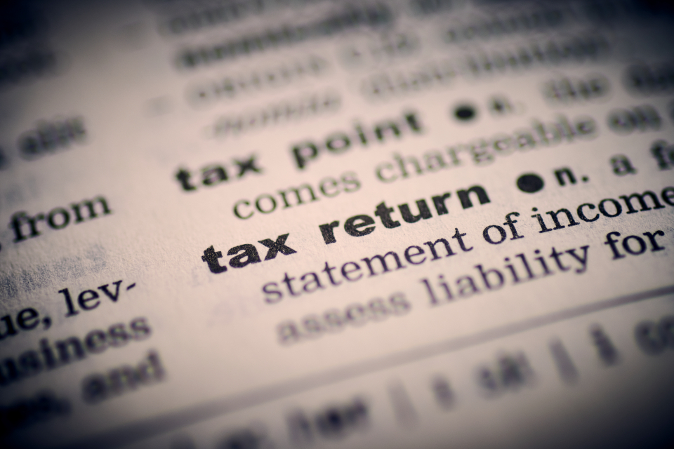 Dictionary page showing the words tax return and statement of income