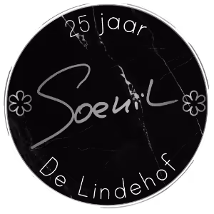 Soenil Bahadoer logo