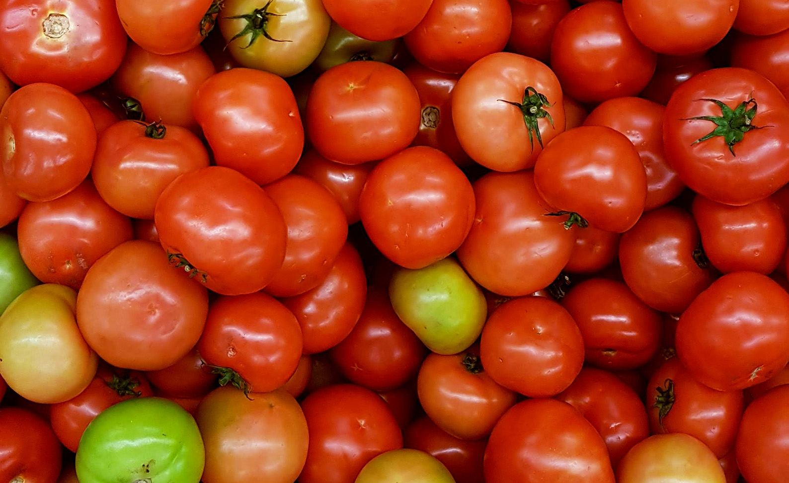 The Secret to Authentic Neapolitan Tomato Sauce