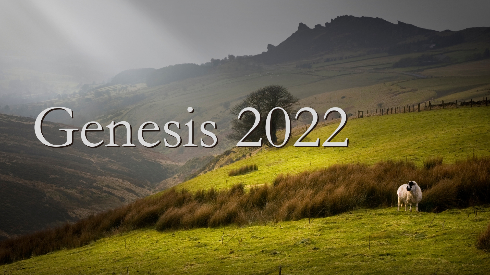 Genesis (2022)