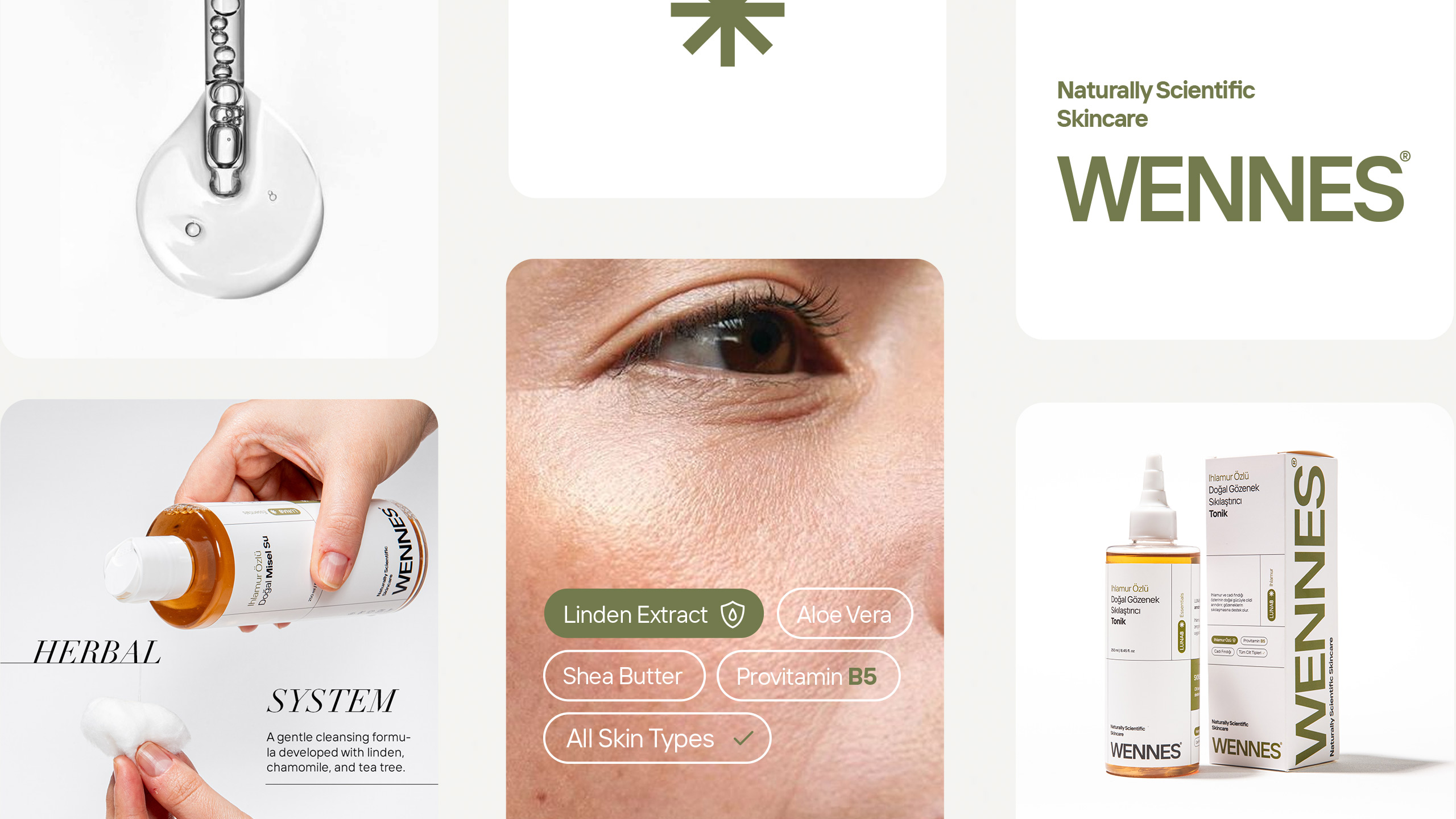 Halobrand - Map360 Sustainability SaaS Branding, Brand Strategy