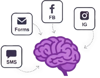 Illustration of a purple AI setter brain connected by arrows to icons for Forms, SMS, Facebook, and Instagram.