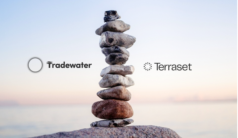 Building a climate portfolio beyond either/or