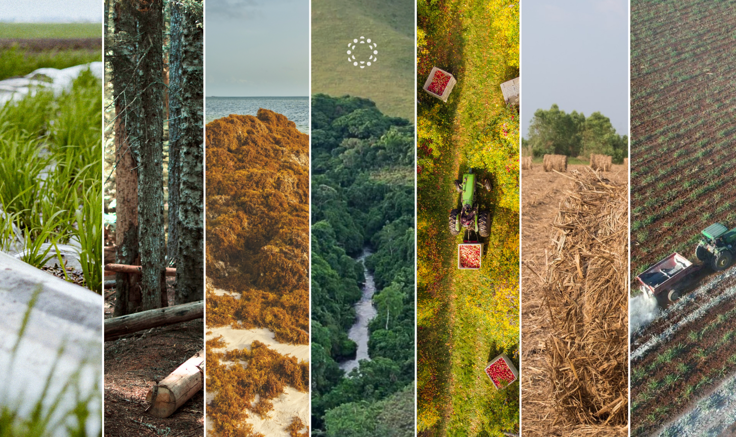 Seven projects our portfolio coordinator wants us to fund