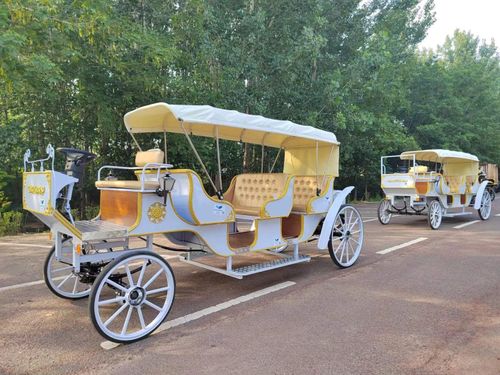 e-carriage at Fernandina Beach.