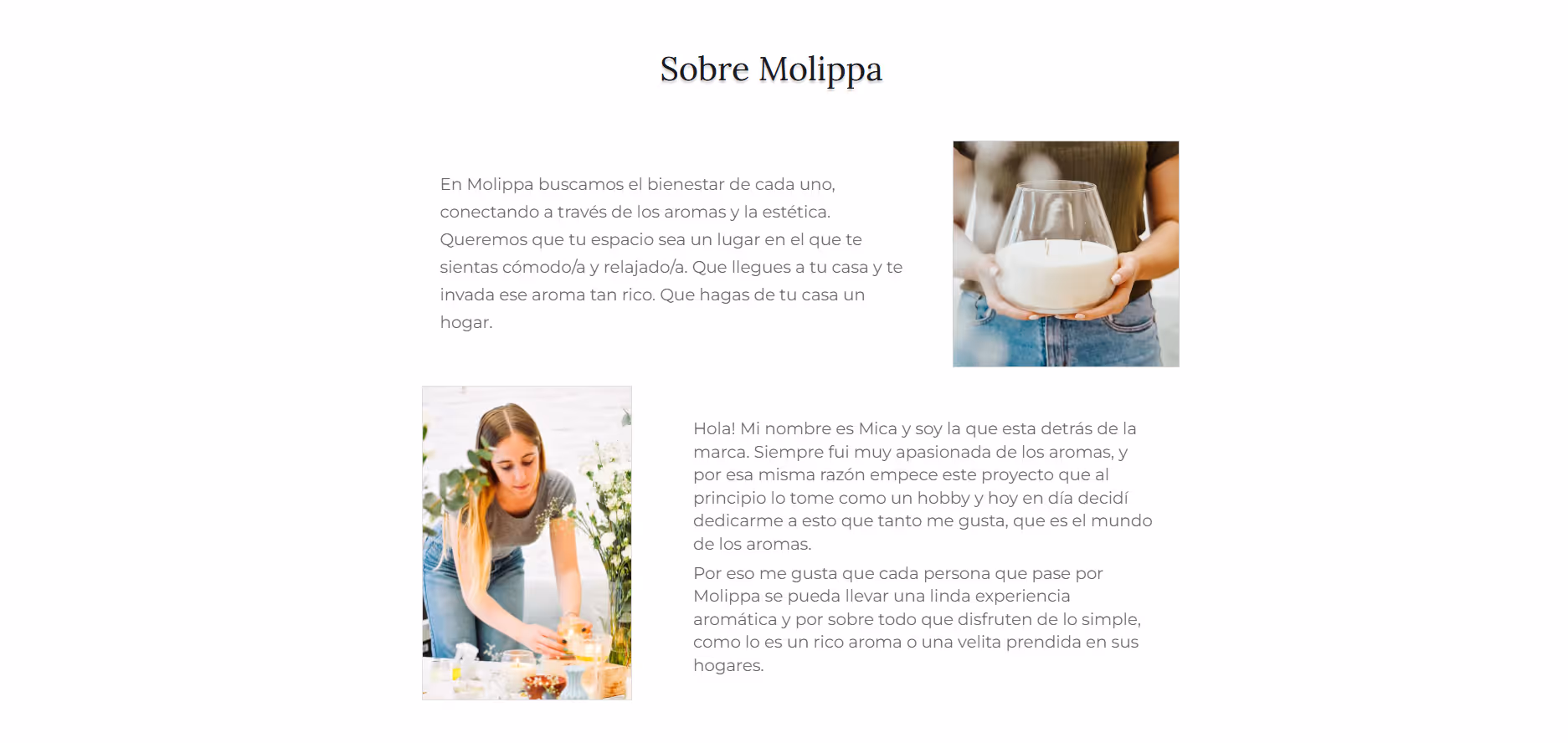 Seccion de "Sobre nosotros" de la pagina de Molippa