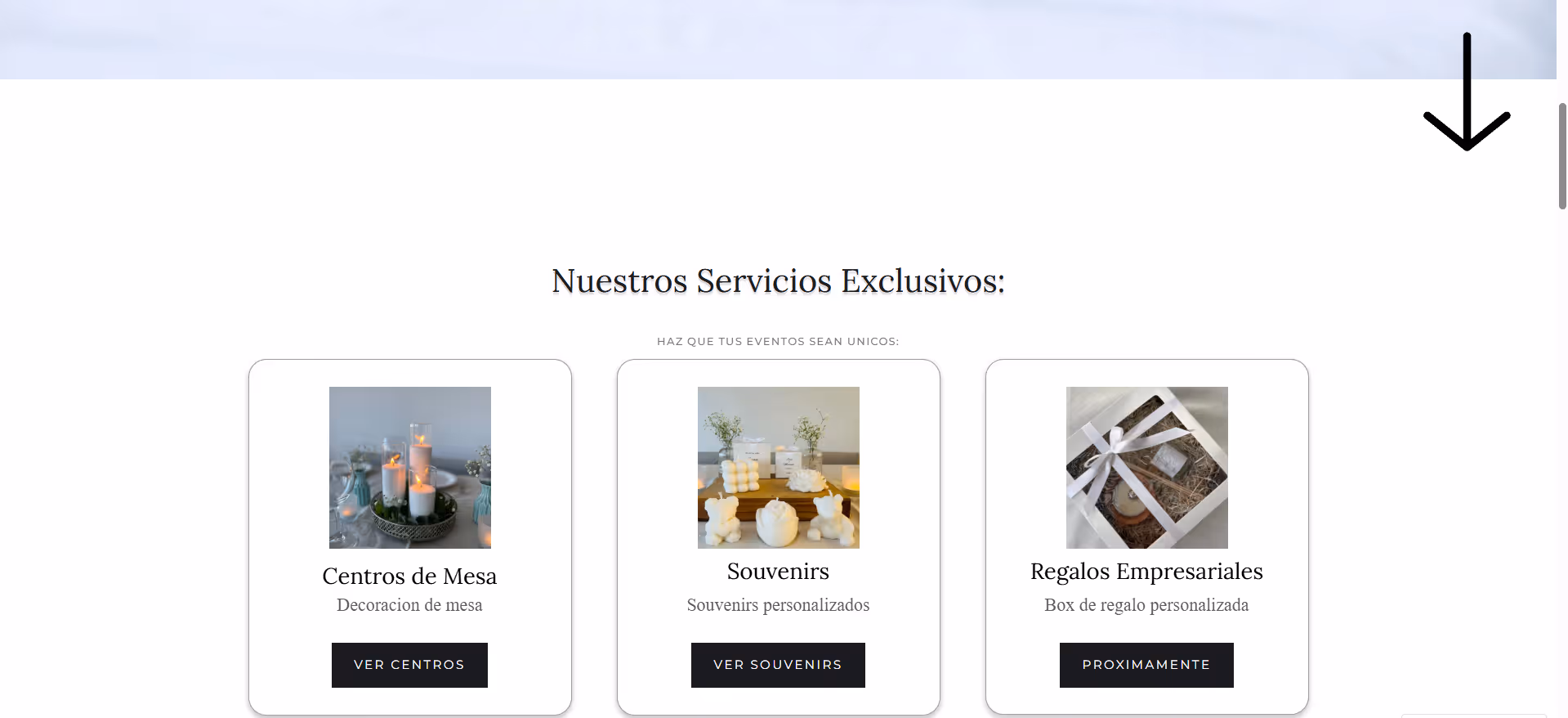 Seccion de servicios de la pagina de Molippa