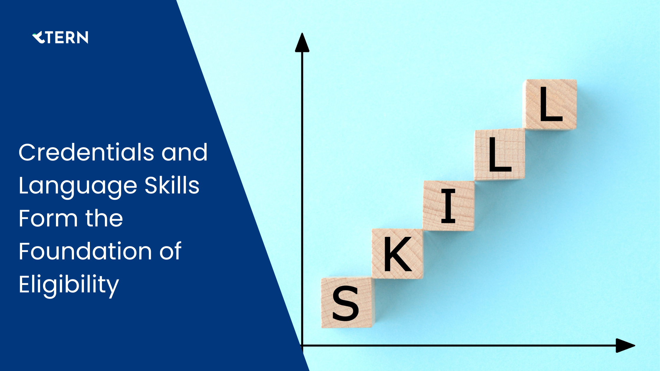 Credentials and Language Skills Form the Foundation of Eligibility