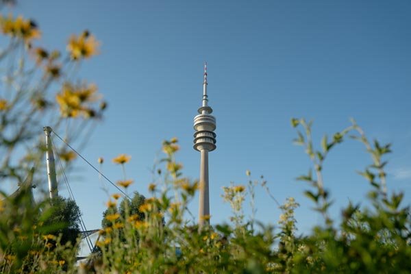 Olympiaturm tower in Munich with flowers