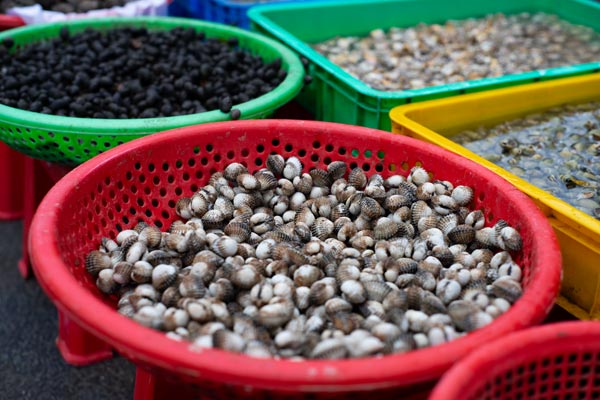 Frische Herzmuscheln in bunten Marktkörben