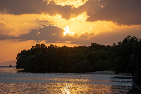 Leuchtende Abendwolken über bewachsenem Meeresufer