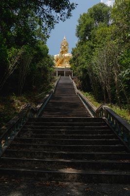 Goldene Buddhastatue über langer Treppe im Wald