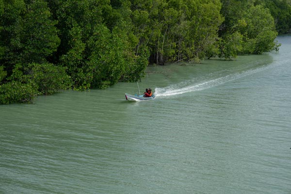 Kleines Motorboot in den Mangroven von Chumphon