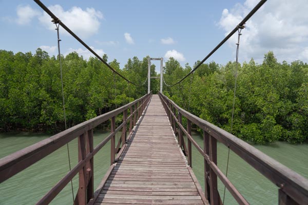 Hölzerne Hängebrücke im Mangrovenwald von Chumphon