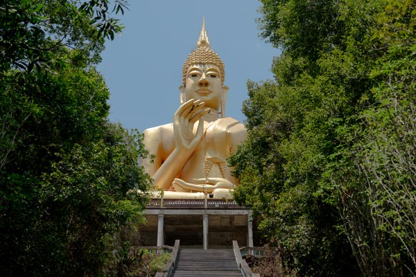 Goldene Buddha-Statue zwischen dichtem tropischem Grün