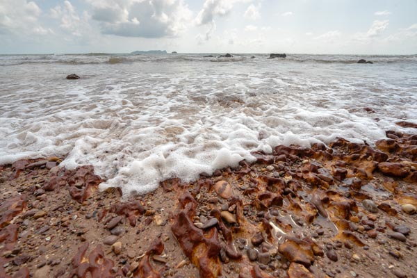 Sea foam over red seaweed on pebble beach