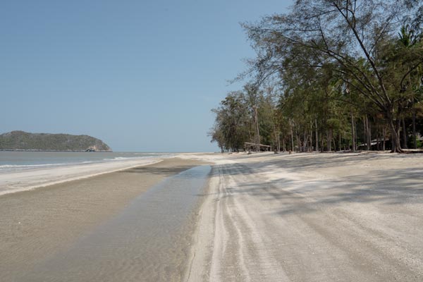 Flacher Sandstrand mit Bäumen am Laem-Sala-Strand