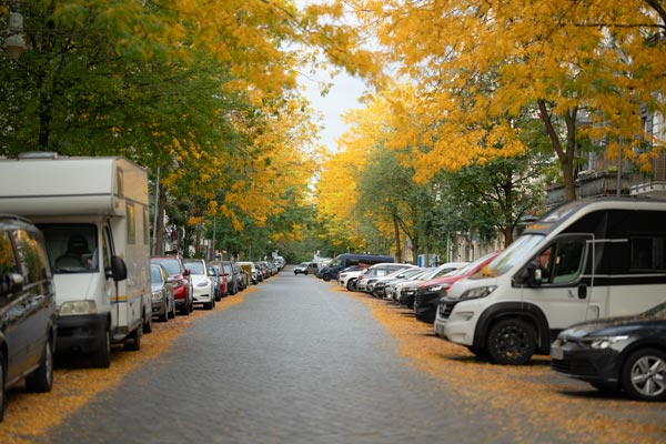 Goldenes Herbstlaub in der Lychener Str. Berlin