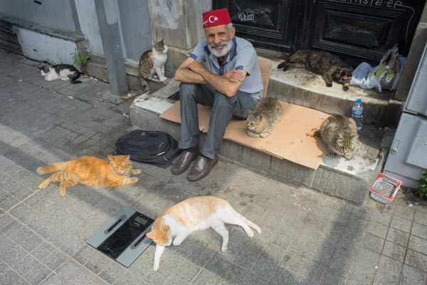 Elderly man with street cats in Turkey