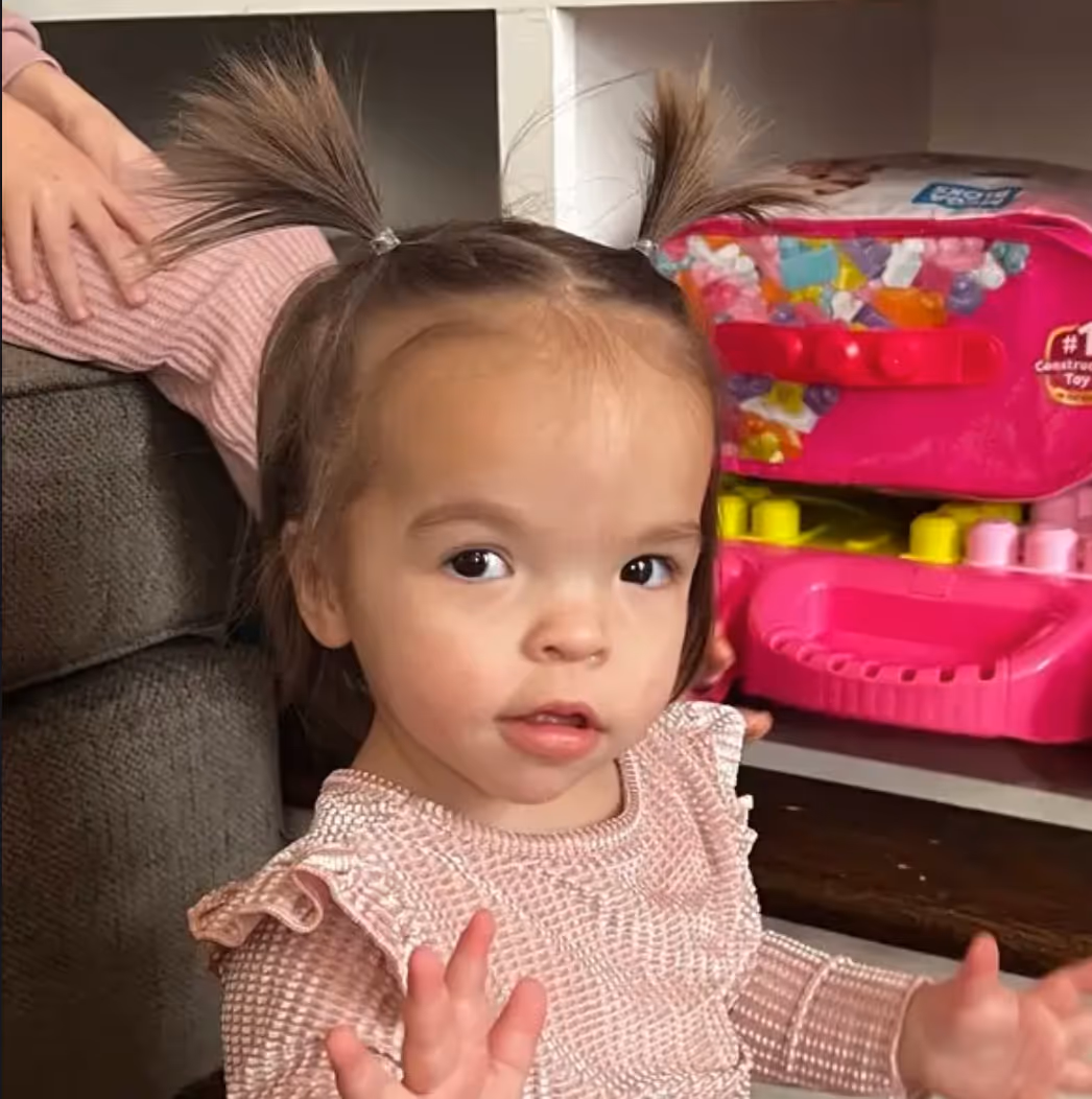 Piper