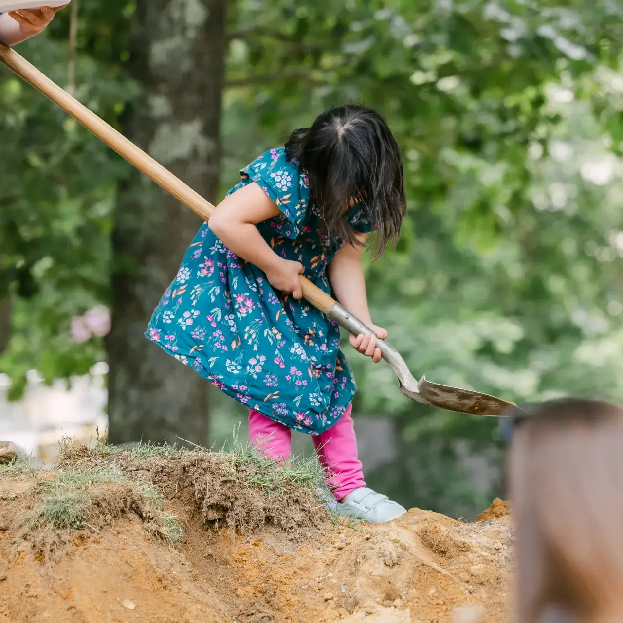 Events of Kingston Bay Dentistry, volunteering, building, and celebrating with the neighbors.